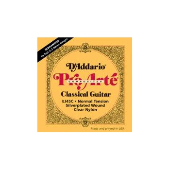 D'addario EJ45C