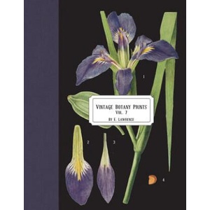 Vintage Botany Prints: Vol. 7 | E. Lawrence (ISBN: 9781721906116)