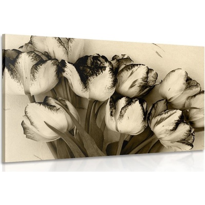 Obraz jarní tulipány v sépiovém provedení - 150x100
