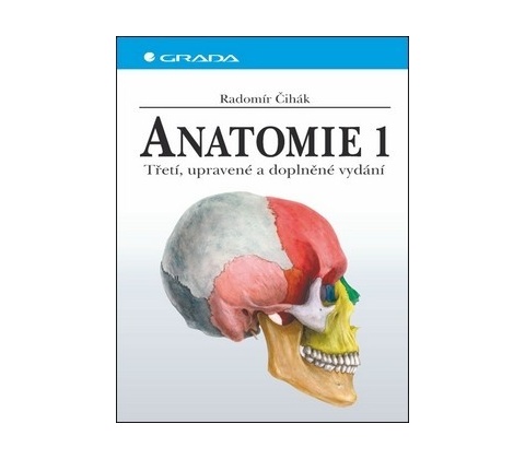 Anatomie 1.