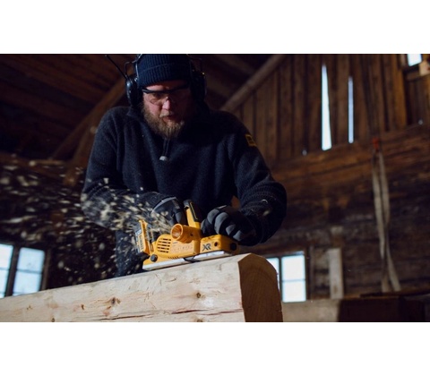 DeWALT DCP580P2