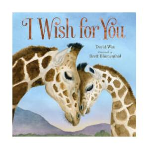 I Wish for You | Brett Blumenthal (ISBN: 9781250822185)