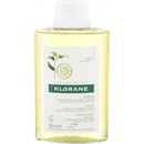Klorane Cédrat šampon pro normální vlasy Shampoo with Citrus Pulp 200 ml