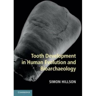 Tooth Development in Human Evolution and Bioarchaeology | Simon Hillson