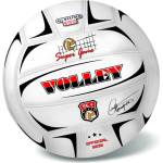 Wiky outdoor Волейболна топка VOLLEY CHAMPIONS (250g) - ненадута 21 см (056917)