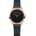 Bering 17031-166
