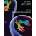 Cognitive Neurosciences