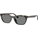 Ray-Ban RB4474D 710/87