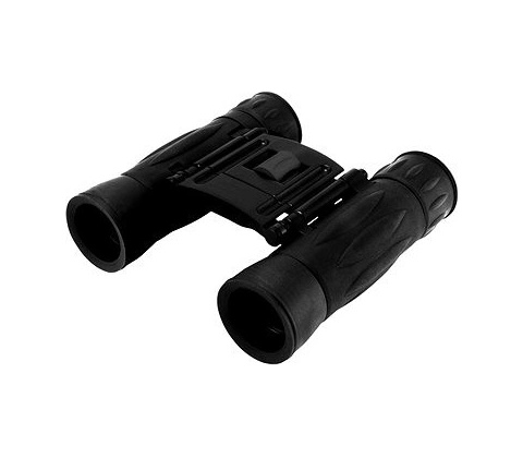 Levenhuk Atom 10x25