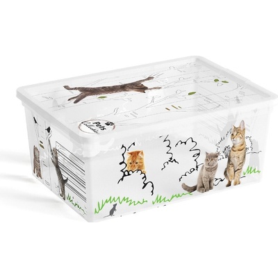 KIS C Box Style Pets Collection S 11L