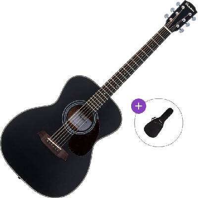Pasadena PG-200 Basic SET Black Джъмбо китара