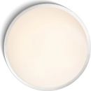 Rendl R11296