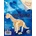Buki France 3D пъзел Buki Dinosaurs - Динозавър, асортимент (BKD6B)