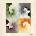 Gotye - Making Mirrors / Digipack CD