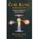 Čchi kung jednoduše - Chia Mantak, Lee Holden
