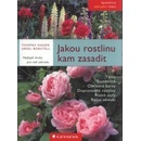 Knihy Jakou rostlinu kam zasadit