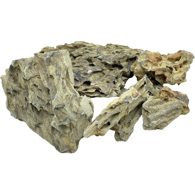 Invital Dragon Stone 6395 g Z05804