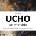 Ucho - Procházka Jan