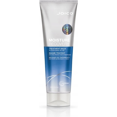 Joico Moisture Recovery 250 ml
