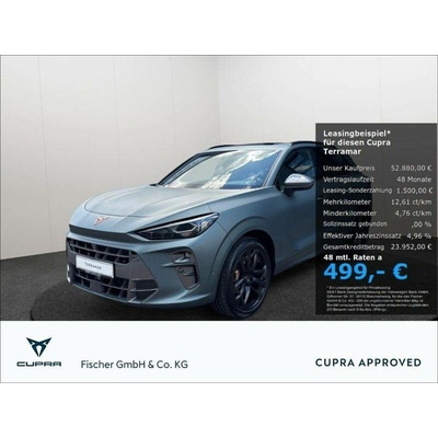 Cupra Terramar 2.0 TSI 4Drive DSG 195 kW