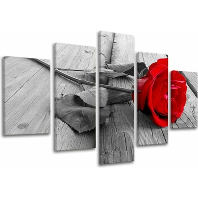 Obraz na stenu KVETY - 150x100
