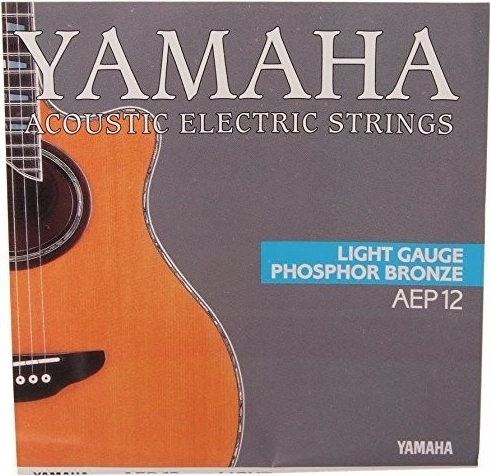 Yamaha AEP 12