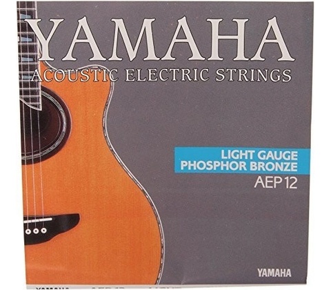 Yamaha AEP 12