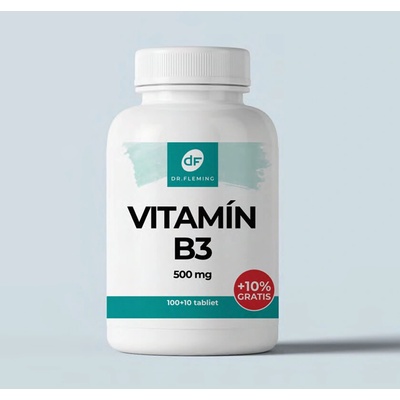 Dr.fleming Vitamin B3 500mg +10% gratis 110 kapsúl
