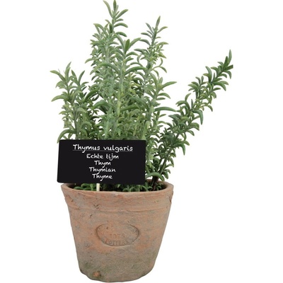 Esschert Design Thyme umělá květina zelená/béžová