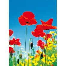 W&G Fototapety na zeď Poppy F371 Field 183 x 254 cm