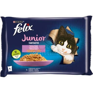 FELIX Fantastic Junior chicken & salmon 48x85 g