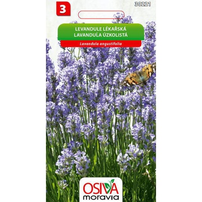 Levandule lékařská Osiva moravia 0,2 g