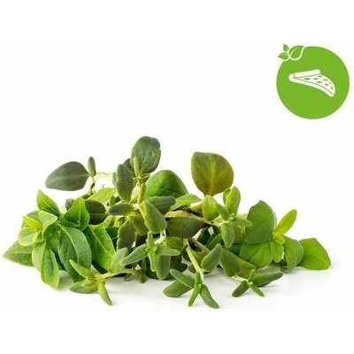 Click and Grow Mix Talianskych bylín kapsule so semienkami a substrátom 9 ks
