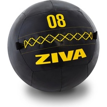 Ziva ZVO Premium Wall Ball 10kg