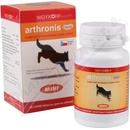 Arthronis mini ACUTE CANIS sýrová příchuť 60 tbl
