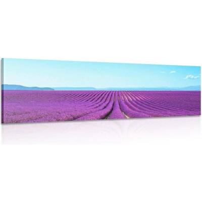 Obraz nekonečné levandulové pole - 135x45