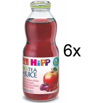HiPP BIO Nápoj s ovocnú šťavou a šípkovým čajom 6 x 0,5l