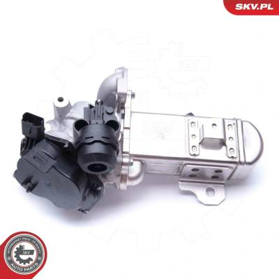 AGR-Ventil ESEN SKV 14SKV157