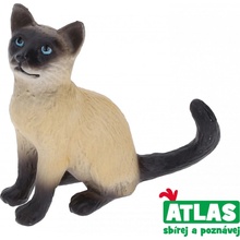 Atlas A Kočka