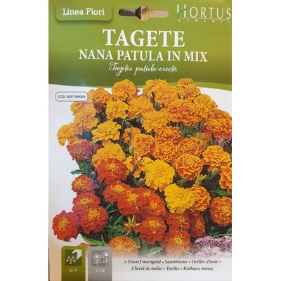 Hortus Тагетес Френски Джудже Микс Tagetes patula-erecta