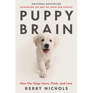 Puppy Brain (ISBN: 9781250867964)