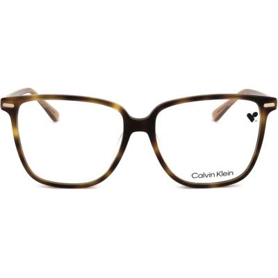 Calvin Klein CK22543 240
