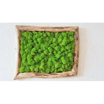 Mechový obraz v asymetrickém rámu 40cm x 30cm