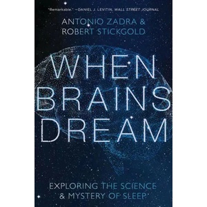 When Brains Dream (ISBN: 9781324020295)