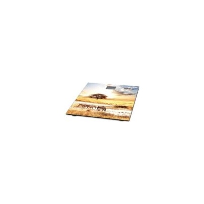 Muhler MSC-3077 Savana