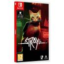 Stray