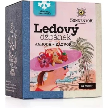 Sonnentor Ledový džbánek jahoda zázvor 16 x 2,8 g