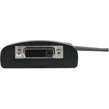 StarTech DP2DVID2