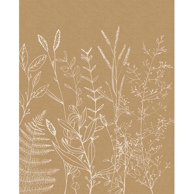 Komar Vliesová fototapeta Herbs Garden rozměry 200 x 250 cm