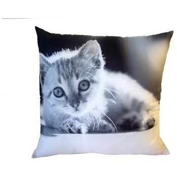 Dadka vankúš fototlač čiernobiele mačiatko 40x40